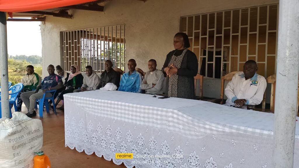 whatsapp image 2026 01 31 at 12.41.03 pm (1)